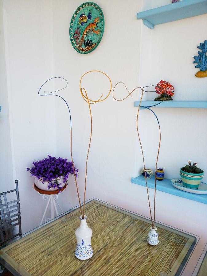 B&B La Casa Del Gelso Acquafredda Extérieur photo