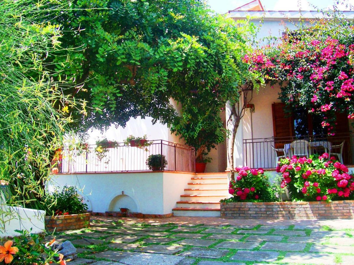 B&B La Casa Del Gelso Acquafredda Extérieur photo