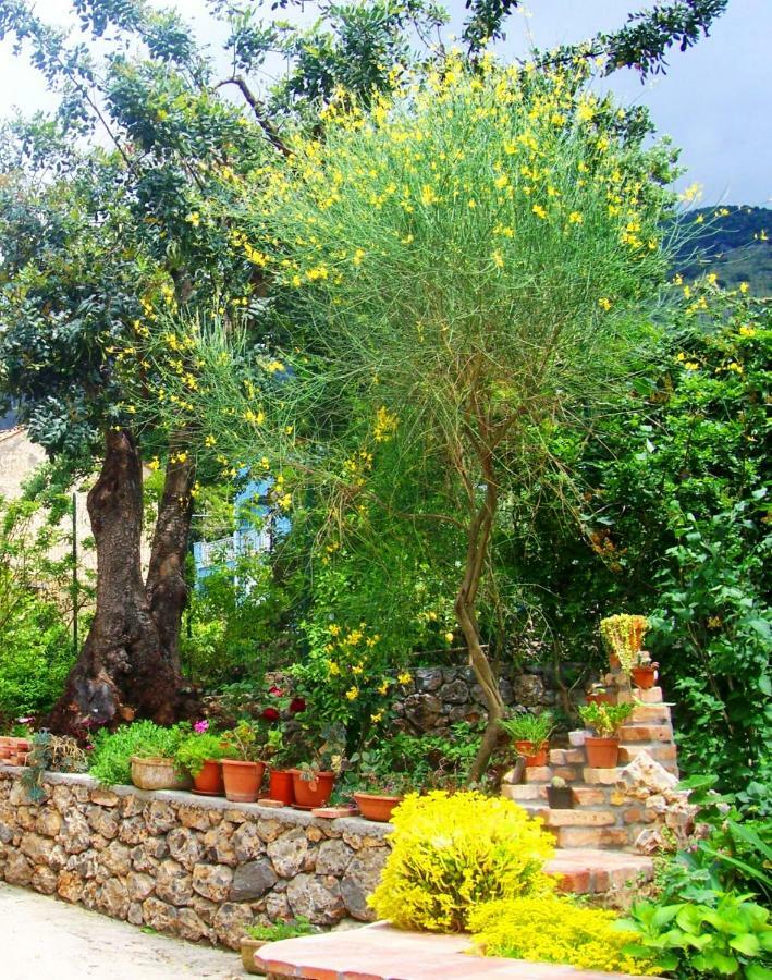 B&B La Casa Del Gelso Acquafredda Extérieur photo
