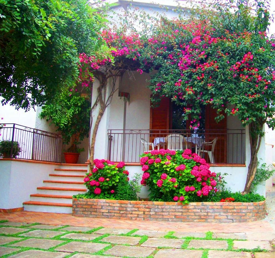 B&B La Casa Del Gelso Acquafredda Extérieur photo