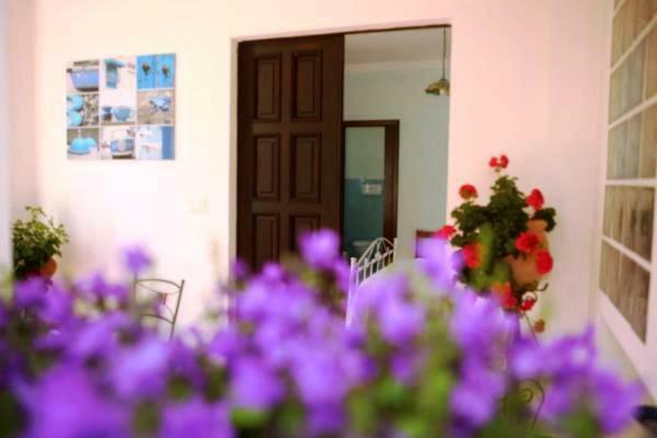 B&B La Casa Del Gelso Acquafredda Extérieur photo