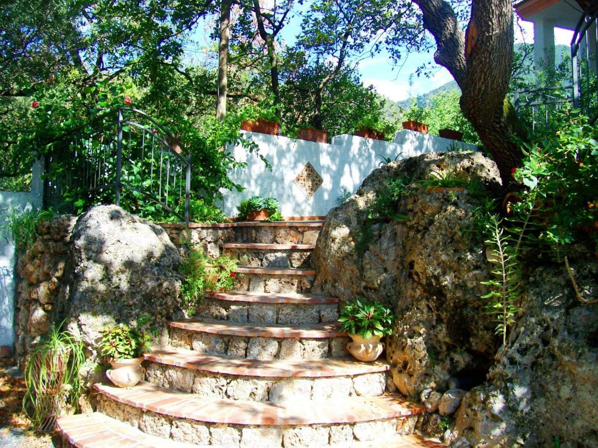 B&B La Casa Del Gelso Acquafredda Extérieur photo