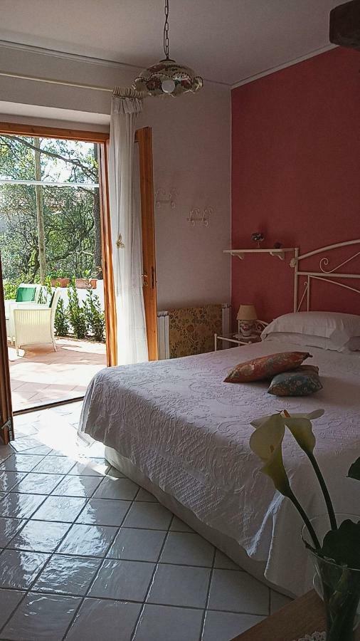 B&B La Casa Del Gelso Acquafredda Extérieur photo