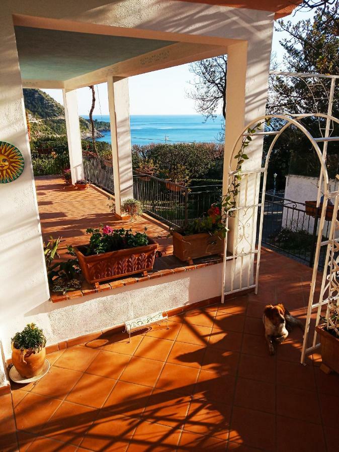 B&B La Casa Del Gelso Acquafredda Extérieur photo