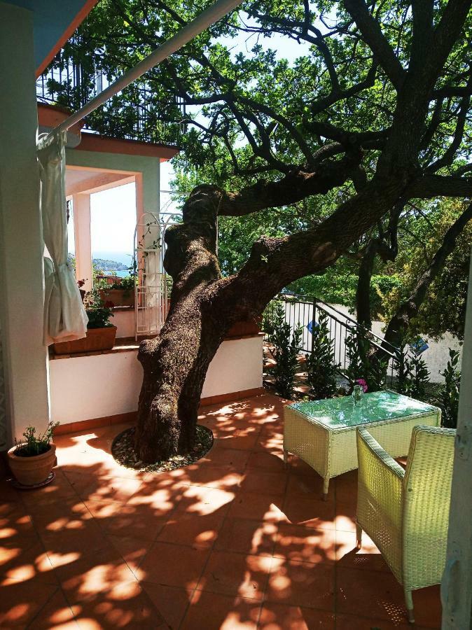 B&B La Casa Del Gelso Acquafredda Extérieur photo