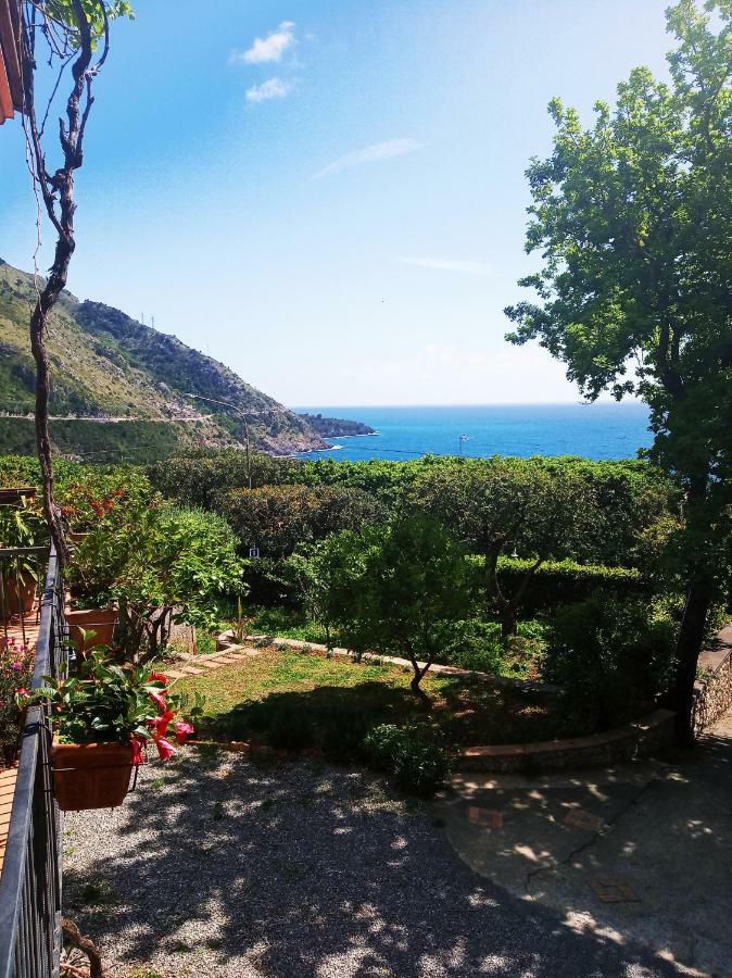 B&B La Casa Del Gelso Acquafredda Extérieur photo